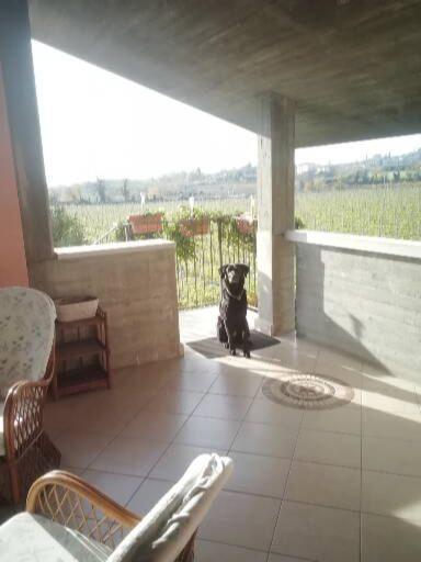Uno Sguardo Sulla Valpolicella Apartment Pedemonte Exterior foto